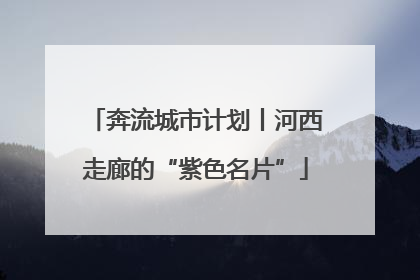 奔流城市计划丨河西走廊的“紫色名片”